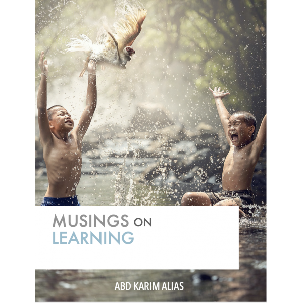 Musings on Learning